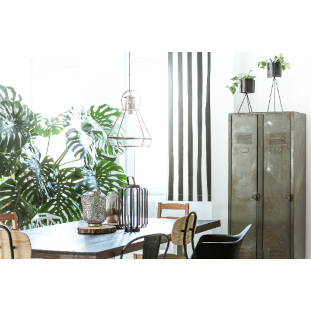 American+Plant+Exchange+Monstera+Deliciosa+Split-Leaf,+Live+Tropical+Plant,+6-Inch+Pot,+Vining+Houseplant